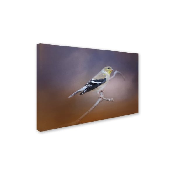 Jai Johnson 'Goldfinch In The Light' Canvas Art,16x24